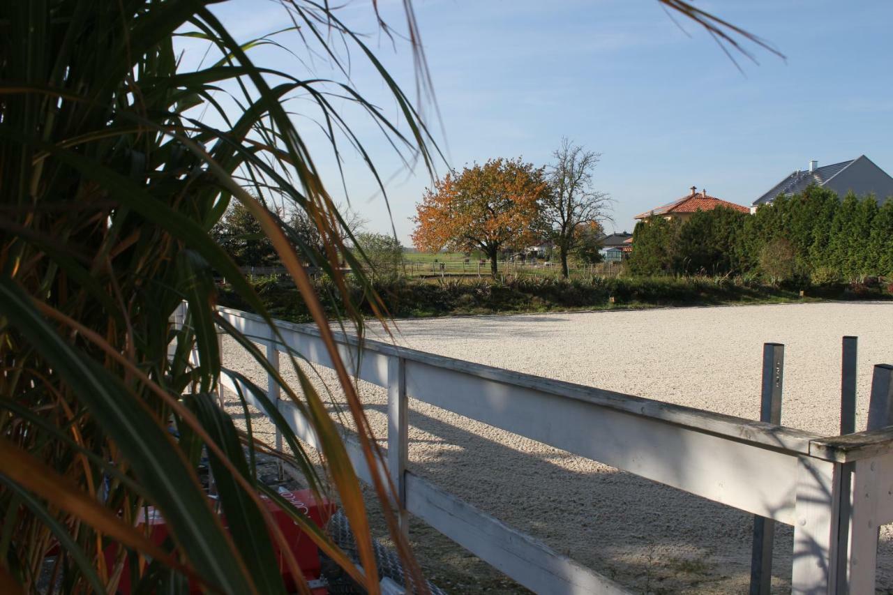Gut Fischer Pomssen Exterior photo